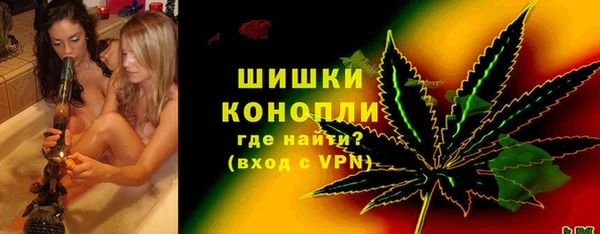 PSILOCYBIN Богородицк