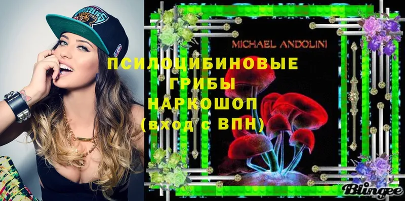 гидра ССЫЛКА  Камешково  Псилоцибиновые грибы Psilocybe  как найти закладки 